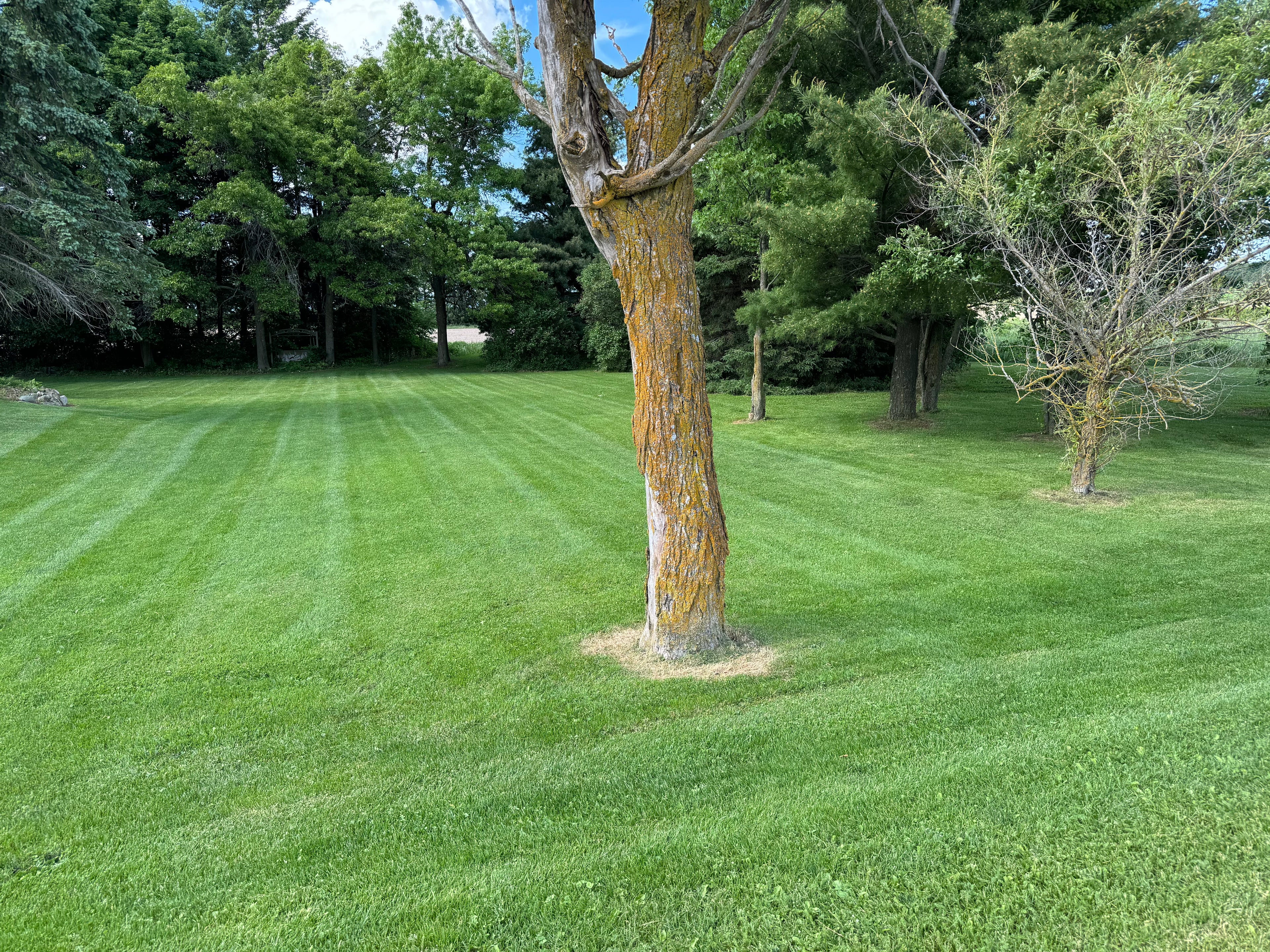 Weekly Lawn Mowing & Estate Maintenance | Mulmur & Dufferin County
